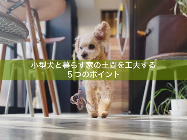 小型犬と暮らす家の土間を工夫する5つのポイント - 健康住宅を京都で建てる|あまねこう